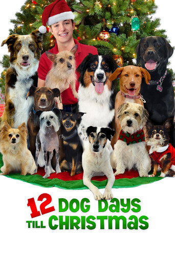 12 Dog Days Till Christmas (2014) Hindi Dubbed