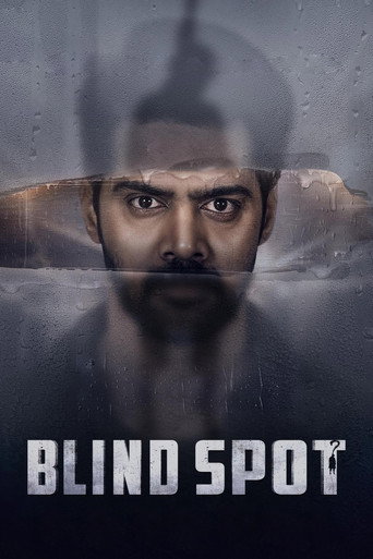 Blind Spot (2025) Hindi Dubbed