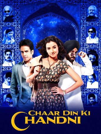Char Din Ki Chandni (2012) Hindi HD