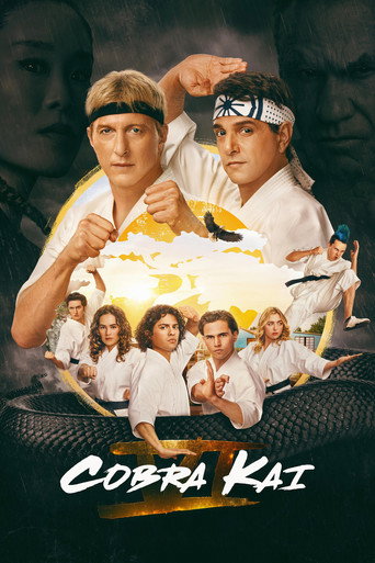 Cobra Kai (2024) Hindi Season 6 Complete Netflix